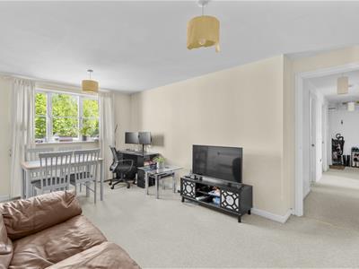 Picture 3